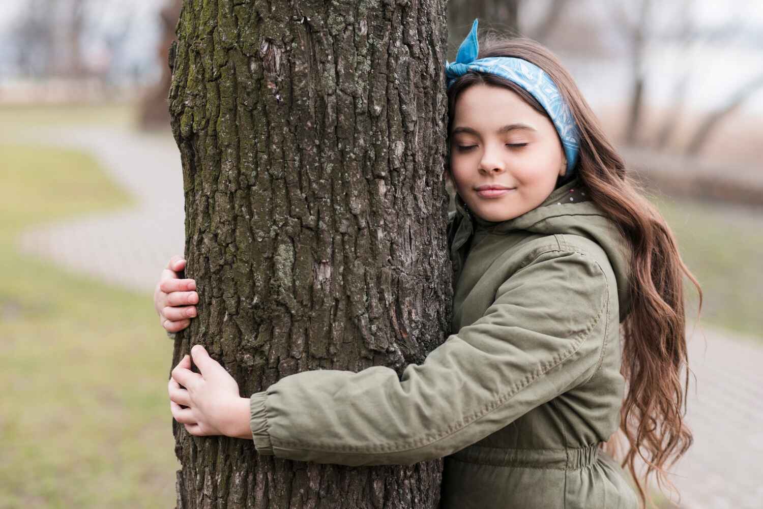 Tree Health Inspection in The Hideout, PA